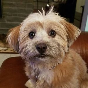 Meet your Posher, Valerie